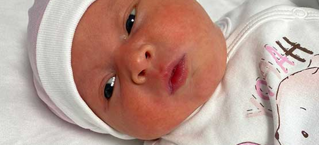 Livia